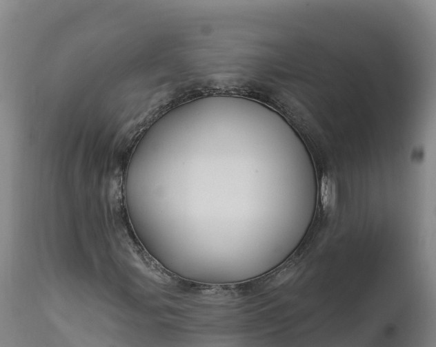 X0000112421107200908281832