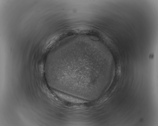 X0000112421108200908281832