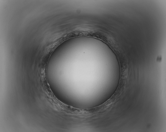 X0000112421109200908281832