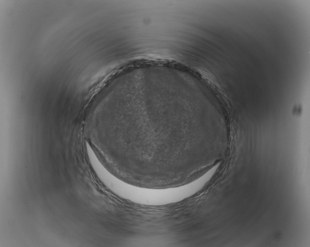 X0000112421110200908281832