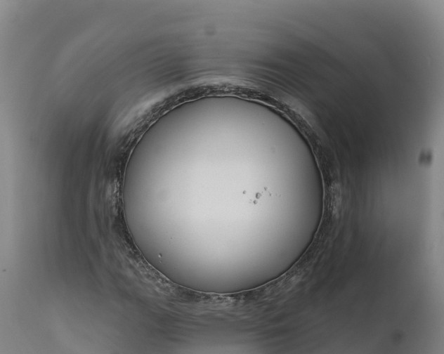 X0000112421111200908281832