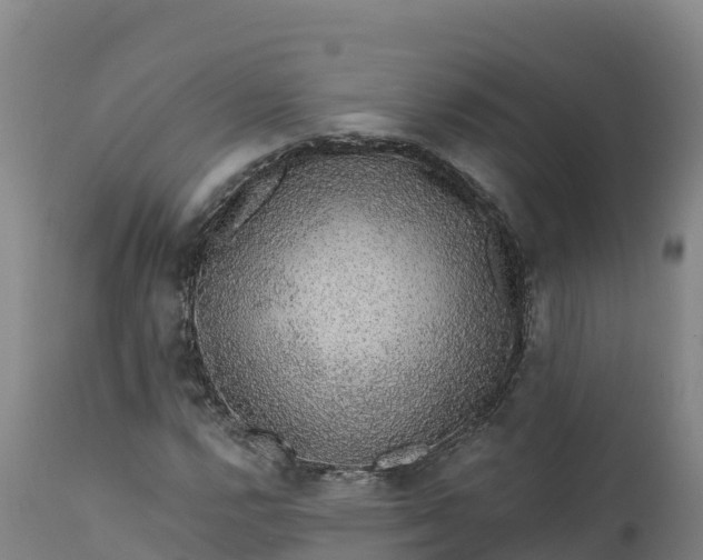 X0000112421112200908281832