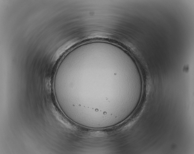 X0000112421113200908281832