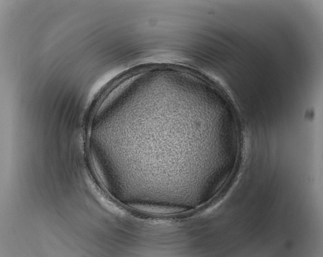 X0000112421114200908281832