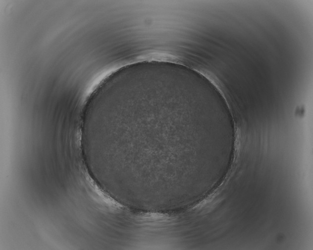 X0000112421115200908281832