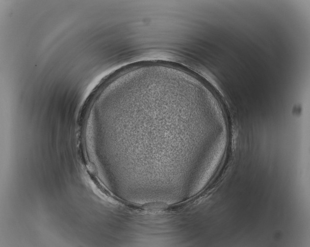 X0000112421116200908281832