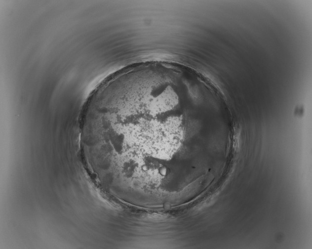 X0000112421117200908281832