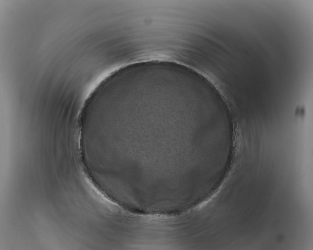 X0000112421118200908281832