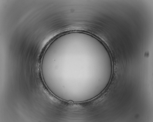 X0000112421119200908281832