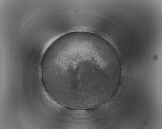 X0000112421120200908281832