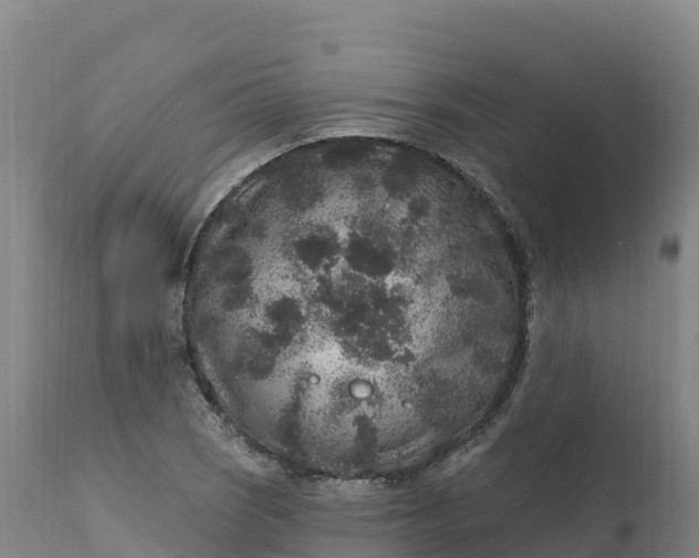 X0000112421121200908281832