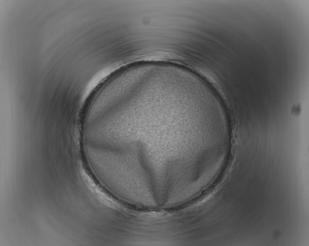 X0000112421122200908281832