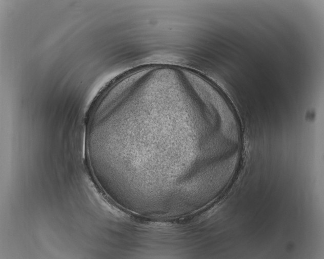 X0000112421123200908281832