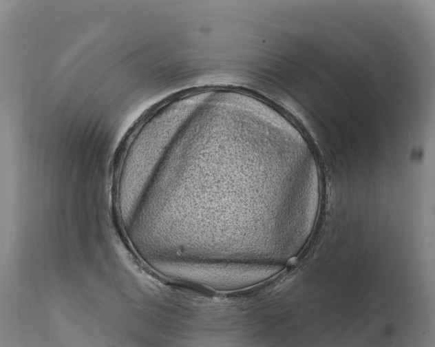 X0000112421124200908281832