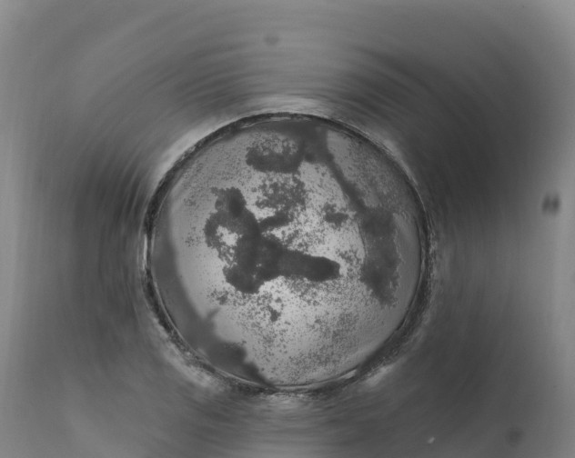 X0000112421125200908281832