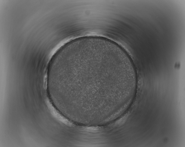 X0000112421126200908281832