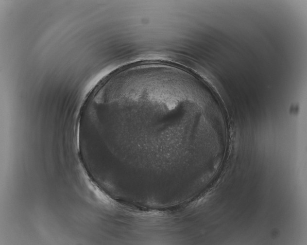 X0000112421127200908281832