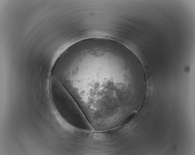 X0000112421128200908281832