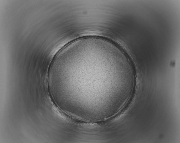 X0000112421129200908281832