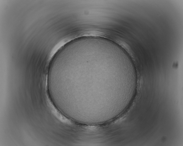 X0000112421130200908281832