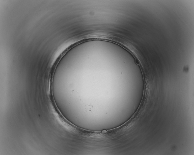 X0000112421131200908281832