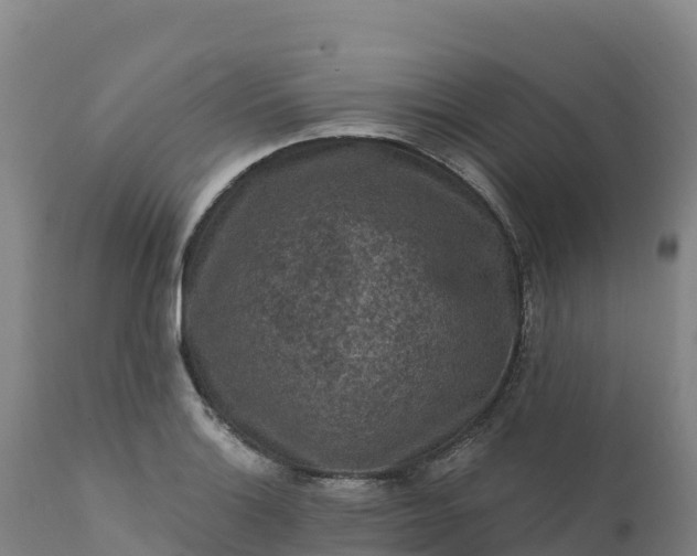 X0000112421132200908281832