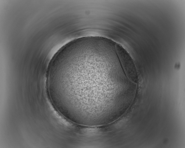 X0000112421134200908281832