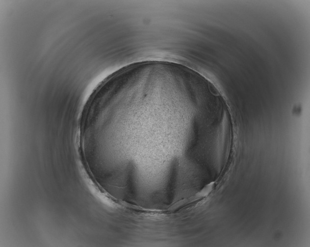 X0000112421136200908281832