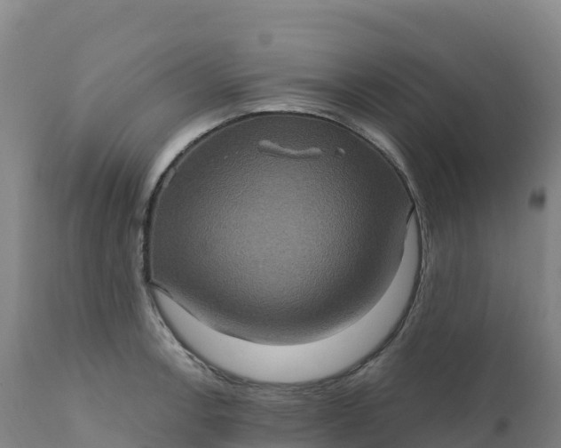 X0000112421138200908281832