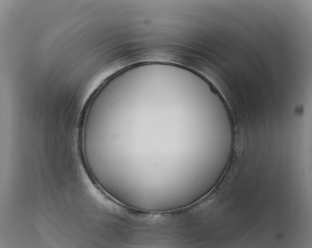 X0000112421139200908281832