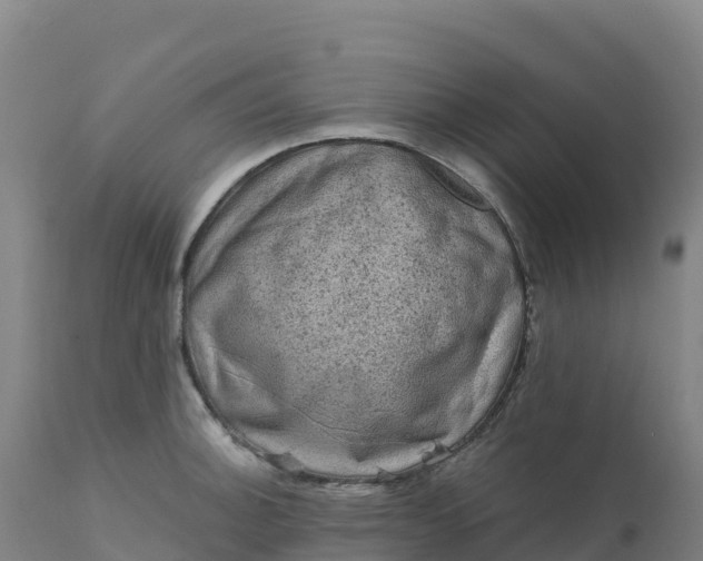 X0000112421140200908281832