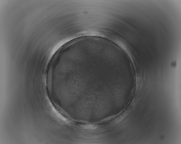 X0000112421141200908281832