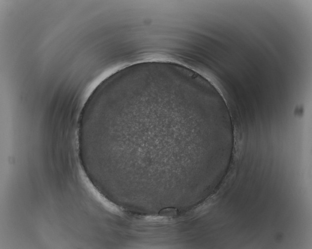 X0000112421142200908281832