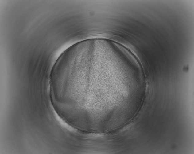 X0000112421143200908281832