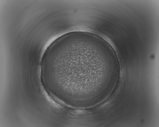 X0000112421144200908281832