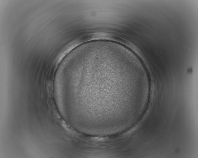 X0000112421145200908281832