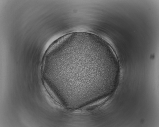 X0000112421146200908281832