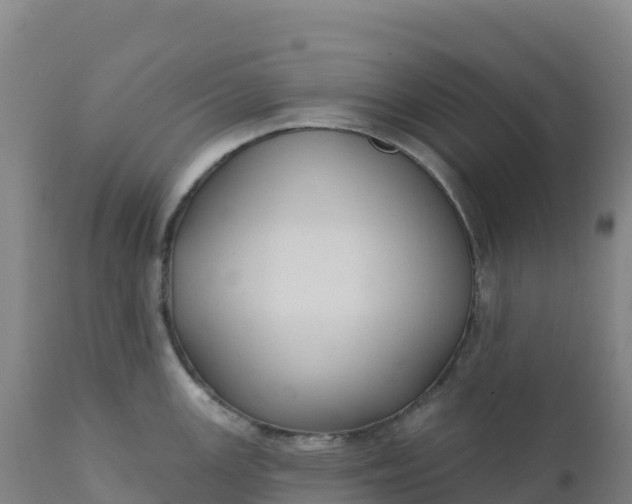 X0000112421147200908281832