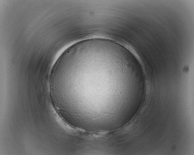 X0000112421148200908281832