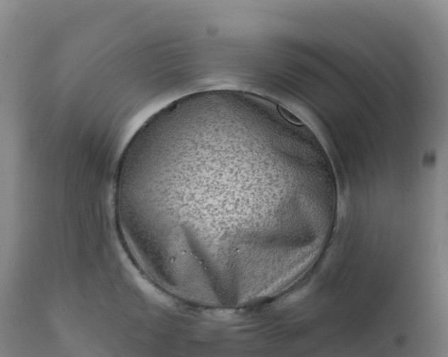 X0000112421149200908281832