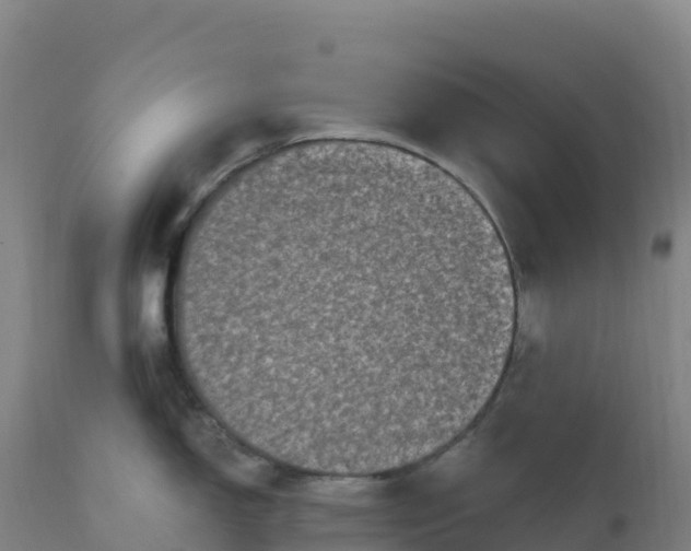 X0000112421150200908281832