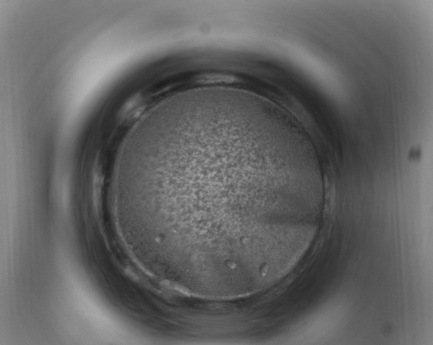 X0000112421151200908281832