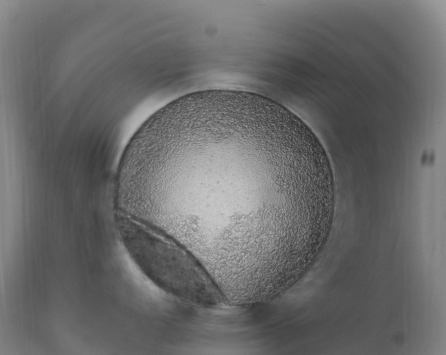 X0000112421152200908281832