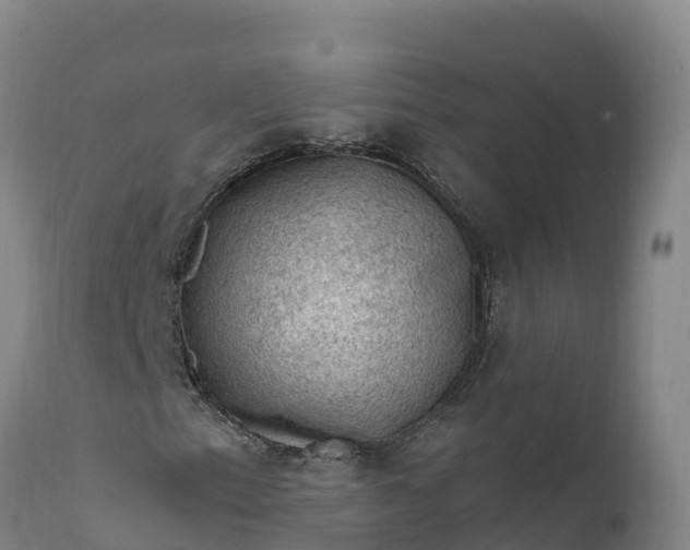 X0000112421153200908281832