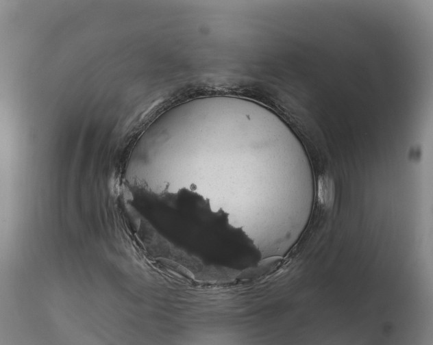 X0000112421155200908281831