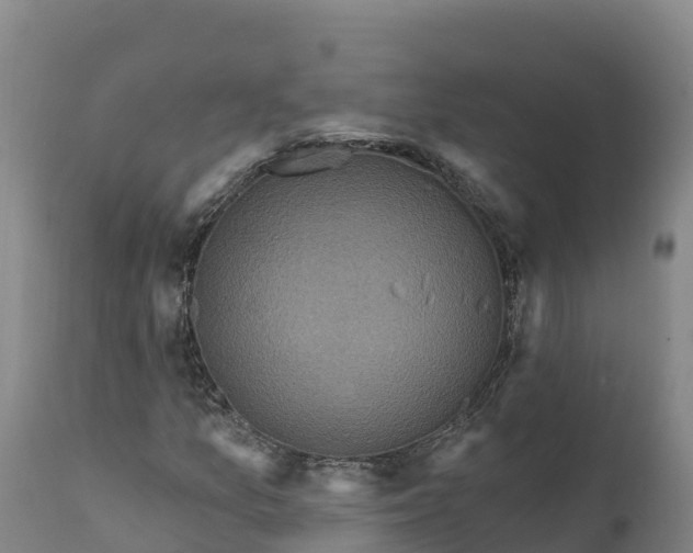 X0000112421157200908281831