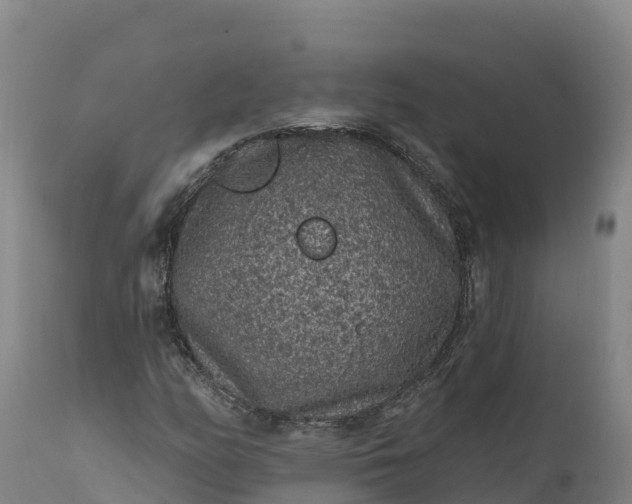 X0000112421158200908281831