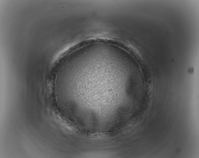 X0000112421159200908281831