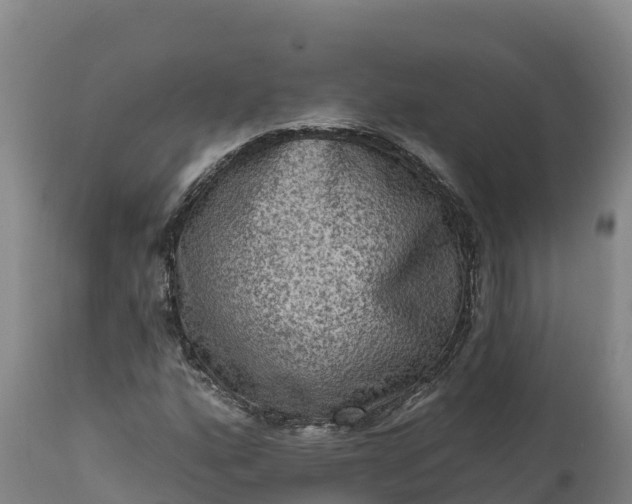 X0000112421160200908281831