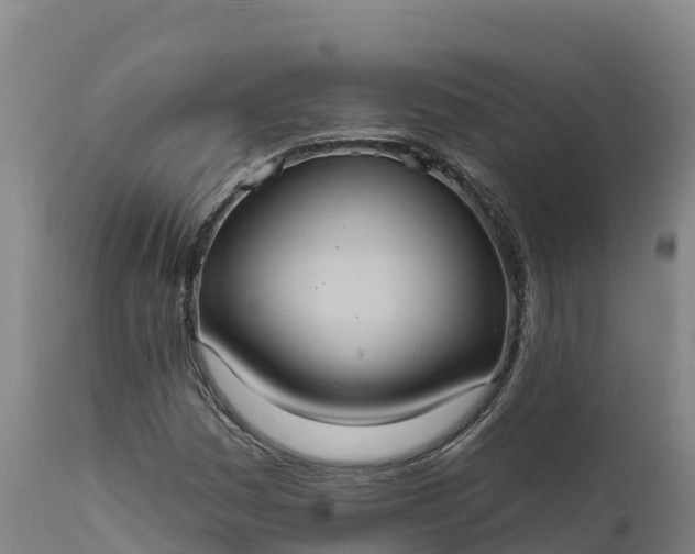 X0000112421161200908281831